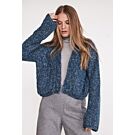 Lana Grossa dames vest breien van Glamour en Alpaca Air II (F70,M31)