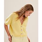 Lana Grossa raglanvest breien van Summer Softness (LB18,M4)