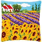 Zonnebloemenveld pn-0189681