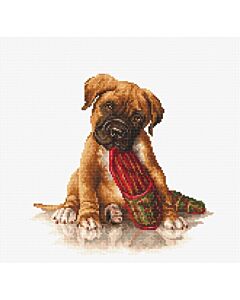 Luca-s borduurpakket Boxer borduren B2338