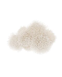 Rico design smyrnapakket wandhanger wolk 100395 voorbedrukt