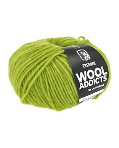Lang Yarns Promise kl.116 groen