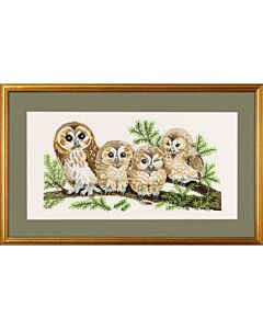 Borduurpakket 4 uilen  van Eva Rosenstand 14-146  linnen