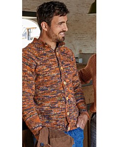 Phildar heren vest breien van Phil Harmonie (232, M1)