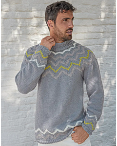 Phildar heren trui breien van Phil Partner 6 (232, M16)