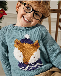 Phildar kinder trui breien van Phil Douce & Partner 6 (235, M20)