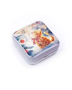 Letistitch metalen naaldendoosje kitten in de sneeuw