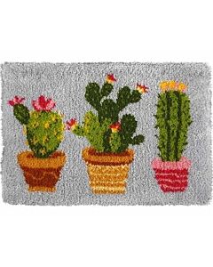 knooppakket knoopkleed cactussen van orchidea 4076