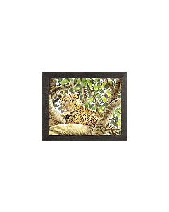 Serengeti Leopard van lanarte 38002a