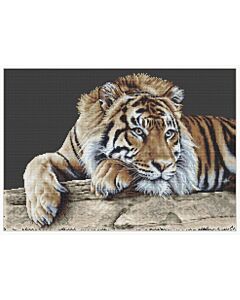 Thea Gouveneur borduurpakket 'Tijger' 579.05 telpatroon (ook verkrijgbaar op witte aida, 579A)