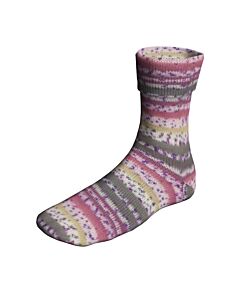 Lang Yarns Super Soxx Bamboo Color kl.511 BirdSoxx (wit/antraciet/roodbruin/blauw) 