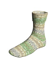 Lang Yarns Super Soxx Bamboo Color kl.514 BirdSoxx (wit/grijs/groen/oker)