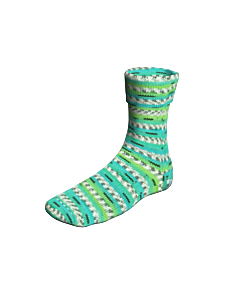 Lang Yarns Super Soxx capitalcities2 kl.381