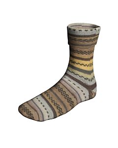 Lang Yarns Super Soxx CometSoxx kl.498 Color 4ply 