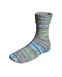 Lang Yarns Super Soxx CometSoxx kl.493 Color 4ply