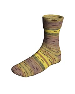 Lang Yarns Super Soxx CometSoxx kl.496 Color 4ply