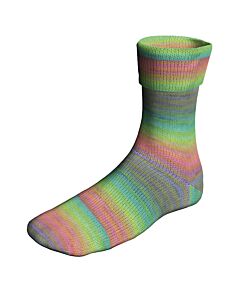 Lang Yarns SuperSoxx Color 6ply Time of day Soxx kl.529 is een 6 draads sokkenwol