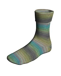 Lang Yarns SuperSoxx Color 6ply Time of day Soxx kl.529 is een 6 draads sokkenwol