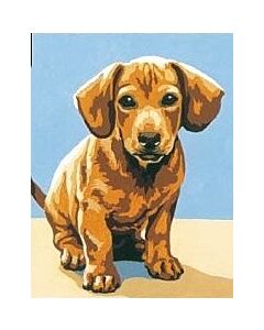 Seg de Paris voorbedrukt stramien teckel pup in halve kruissteek 9213.47E