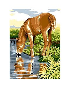 Voorbedrukte stramien drinkend veulen van Seg de Paris