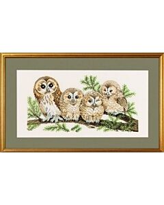 Eva Rosenstand borduurpakket uilen 94-146 aida