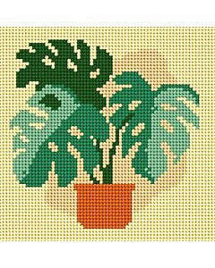 Orchidea borduurpakket monstera 9764 voorbedrukt, ideaal voor beginners.