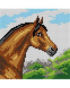 Orchidea borduurpakket paard 9781 voorbedrukt stramien incl. garen, ideaal voor beginners!