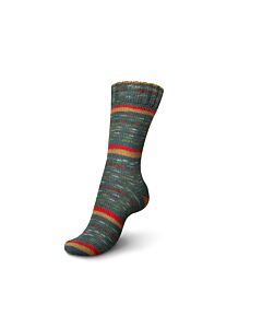 Schachenmayr Regia Pairfect Vintage Color kl.1360