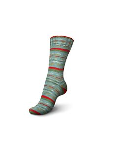 Schachenmayr Regia Pairfect Vintage Color kl.1360