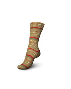 Schachenmayr Regia Celebrations Color kl.9427