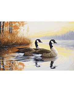 Luca-s borduurpakket ganzen B728 telpatroon