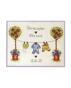 Borduurpakket Birth sampler anchor