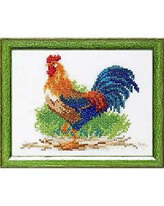 Pako borduurpakket haan 210.896 borduren