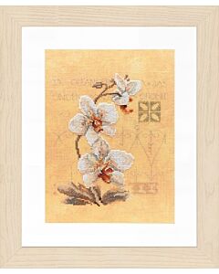 Borduurpakket 3 orchideeën met telpatroon op katoen Lanarte pn 0008008