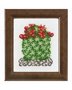 Borduurpakket Cactus van Permin 13-7441