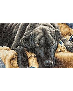 Borduurpakket guilty pleasures van dimensions 70-35321 om te borduren