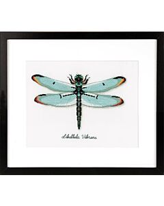 Borduurpakket Libel aida om te borduren pn-0165453