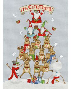 Bothy Threads borduurpakket It's Christmas XKTB07 borduren