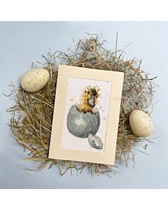 Bothy Threads borduurpakket wenskaart peek-a-boo XGC48 telpatroon