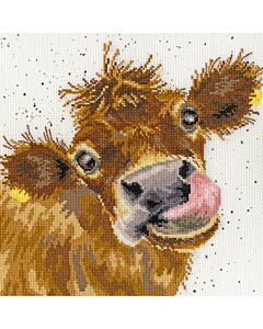 Borduurpakket loeien van Bothy Threads XHD48