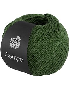 Lana Grossa Campo kleur 24