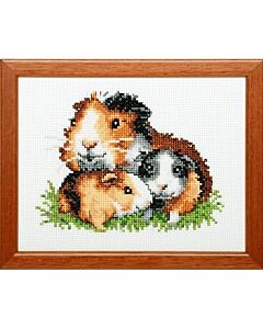 Borduurpakket Cavia's van pako 210.869