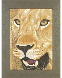 leeuw in close up telpatroon lanarte