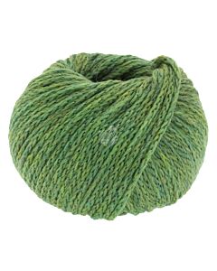 Cool Merino Big kleur 204