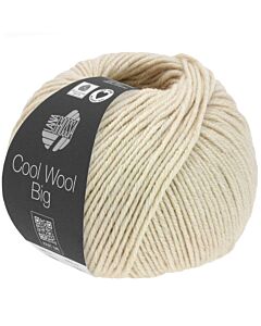 Lana Grossa Cool Wool Big kleur 1655