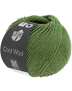 Lana Grossa Cool Wool Melange kl.1434 (groen)
