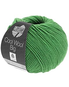  Cool Wool Big kl.997