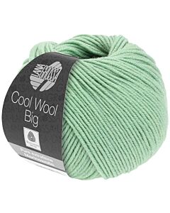 Cool Wool Big kl.998