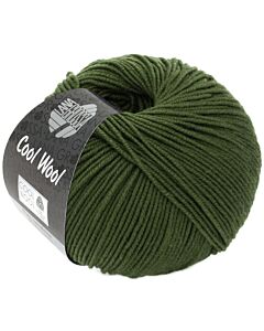Lana Grossa Cool Wool kl.2042 groen