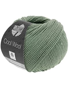 Cool Wool kl.2081